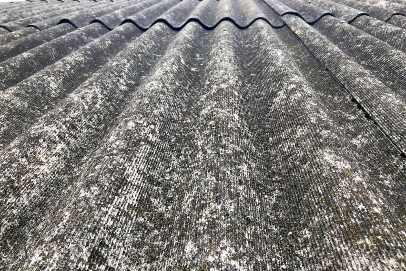 asbestos encapsulation services brisbane